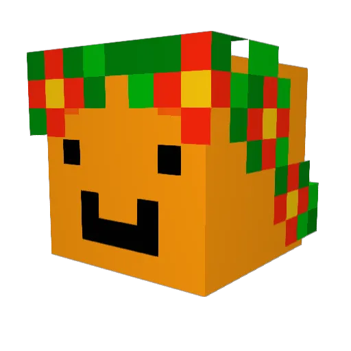 Rorangex Minecraft avatar head, 3D render