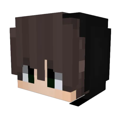 Roro225 Minecraft avatar head, 3D render