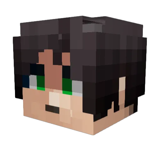 RoroWasTaken Minecraft avatar head, 3D render