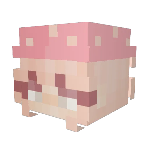 RoryBerry Minecraft avatar head, 3D render