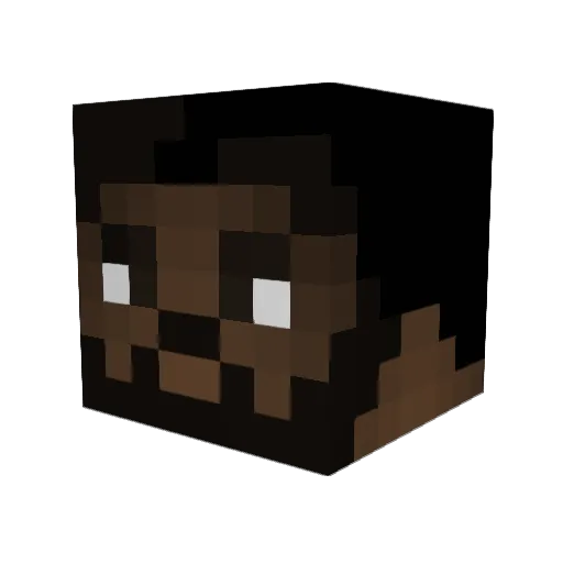 RoryGS Minecraft avatar head, 3D render