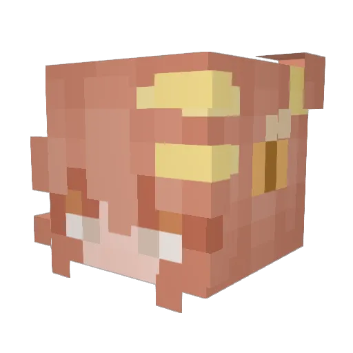 RoryGrace04 Minecraft avatar head, 3D render