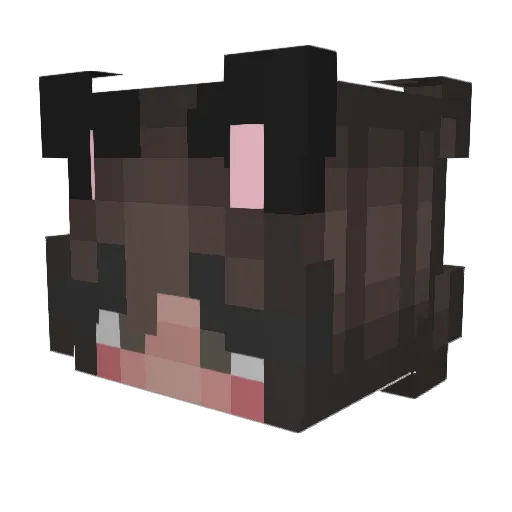 RoryHY84 Minecraft avatar head, 3D render