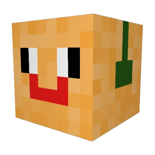 RoryRoarer Minecraft avatar head, 3D render