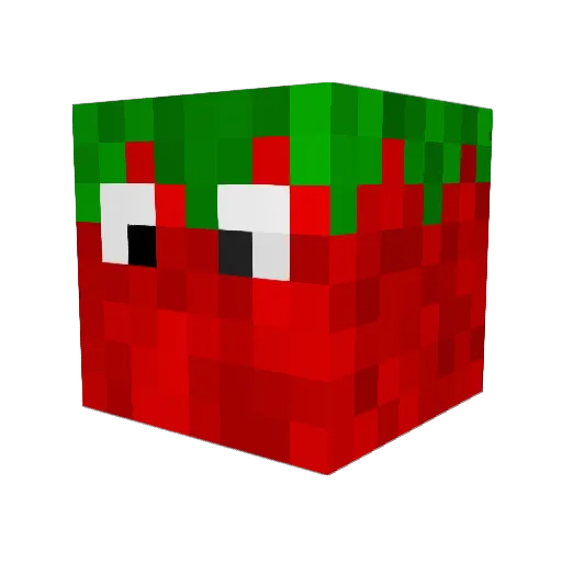 RoryTheCrip Minecraft avatar head, 3D render