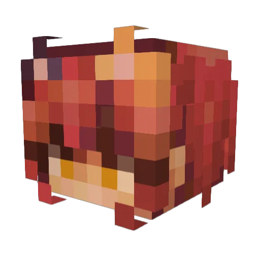 Rory_Borealis Minecraft avatar head, 3D render