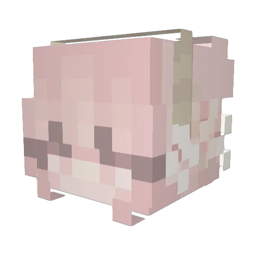 Ros3yuwu Minecraft avatar head, 3D render