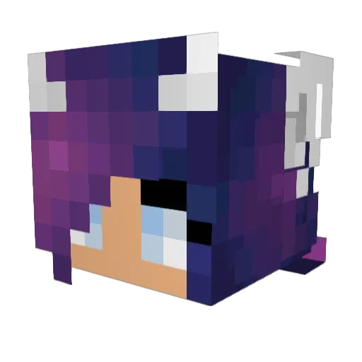 Rosa2 Minecraft avatar head, 3D render