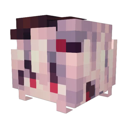 Rosa_Scarlet Minecraft avatar head, 3D render