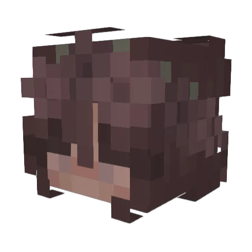 Rosa_prosapia Minecraft avatar head, 3D render