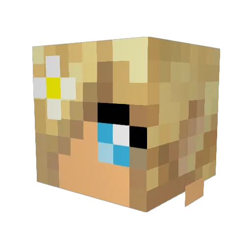 Rosaliiie Minecraft avatar head, 3D render