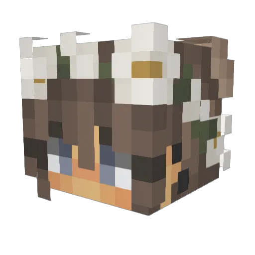 RosalynLex Minecraft avatar head, 3D render