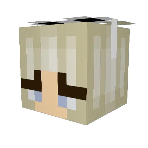 Rosaolies Minecraft avatar head, 3D render