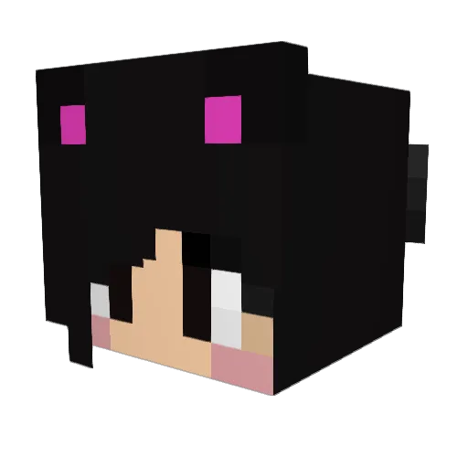 Rosarose101 Minecraft avatar head, 3D render