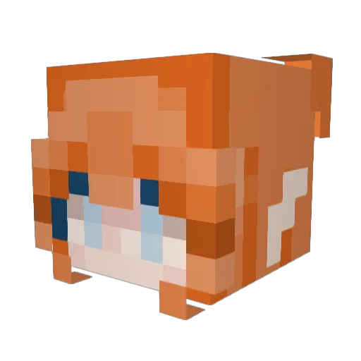 Rosaspella Minecraft avatar head, 3D render