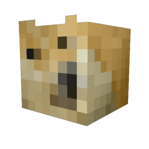 Roscoe_9800 Minecraft avatar head, 3D render