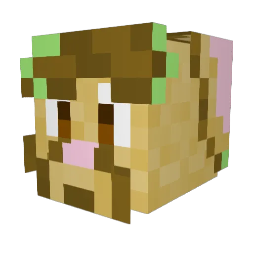 Roscoelite Minecraft avatar head, 3D render