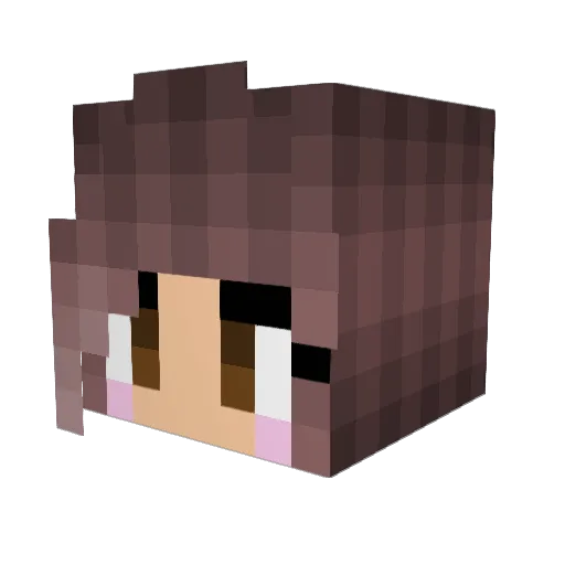 Rose2578 Minecraft avatar head, 3D render