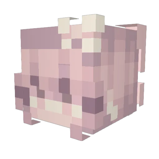 Rose849 Minecraft avatar head, 3D render