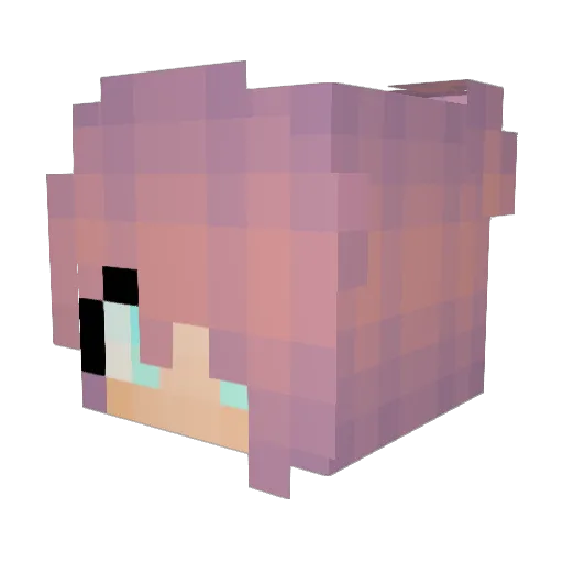 RoseBloom14 Minecraft avatar head, 3D render