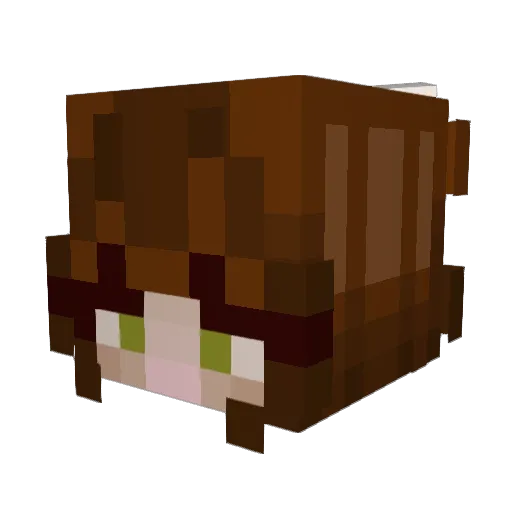 RoseBudCraft Minecraft avatar head, 3D render
