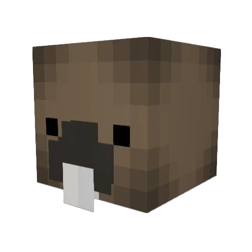 RoseDust96 Minecraft avatar head, 3D render