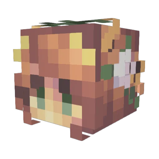 RoseGold10100 Minecraft avatar head, 3D render