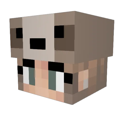 RoseGoldSloth Minecraft avatar head, 3D render