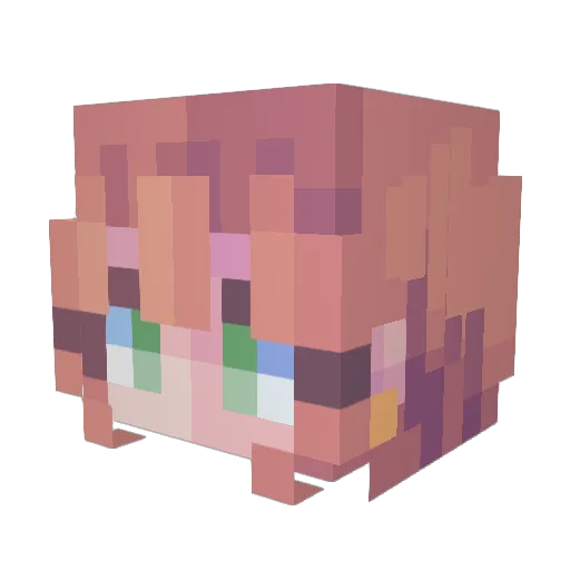 RoseJedi Minecraft avatar head, 3D render