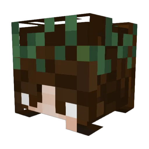 RoseMari1804 Minecraft avatar head, 3D render