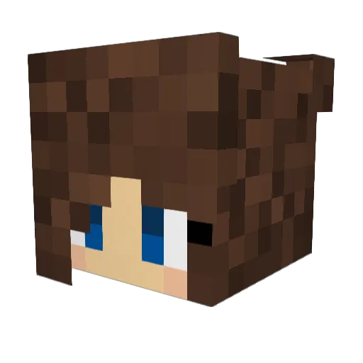 RoseQuinzel Minecraft avatar head, 3D render