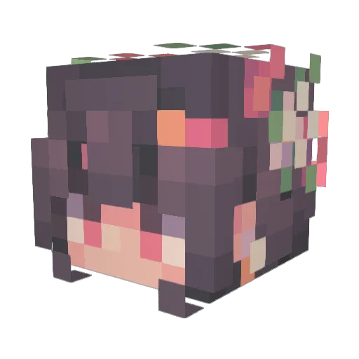 RoseRiddleX Minecraft avatar head, 3D render
