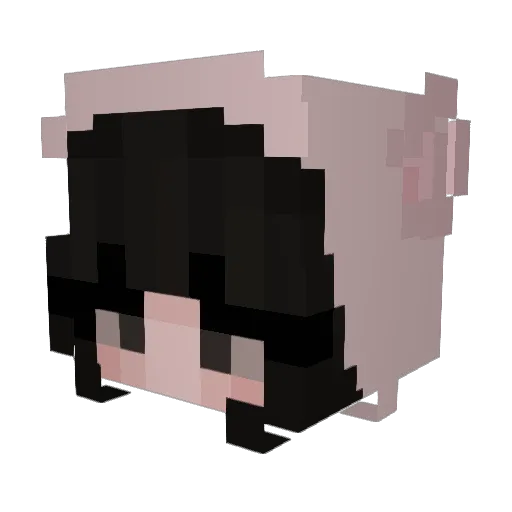 RoseS2230 Minecraft avatar head, 3D render