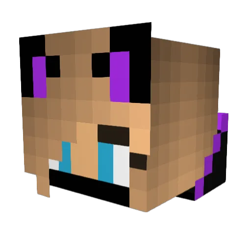 RoseSaito Minecraft avatar head, 3D render