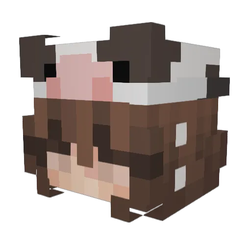 RoseSkull20 Minecraft avatar head, 3D render