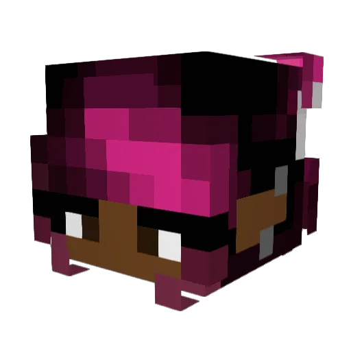 RoseTea329 Minecraft avatar head, 3D render
