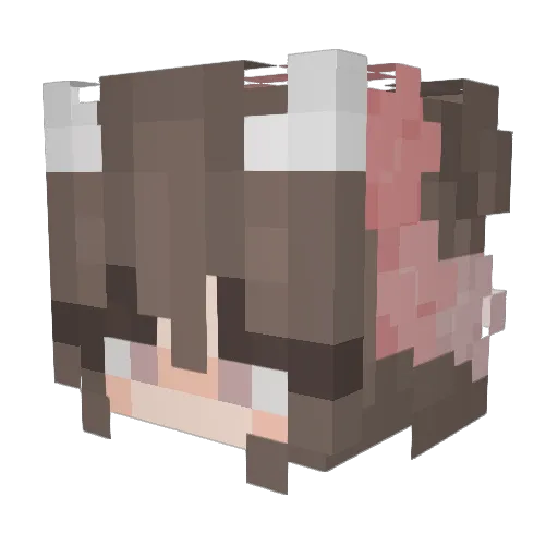 RoseTillDeath Minecraft avatar head, 3D render