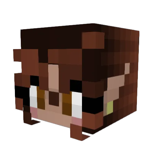 RoseWillow2007 Minecraft avatar head, 3D render