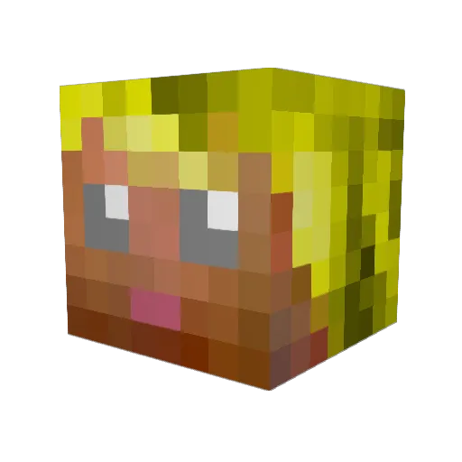 Rose_Barnes666 Minecraft avatar head, 3D render