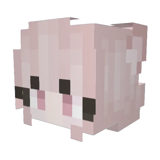 Rose_Briar4444 Minecraft avatar head, 3D render