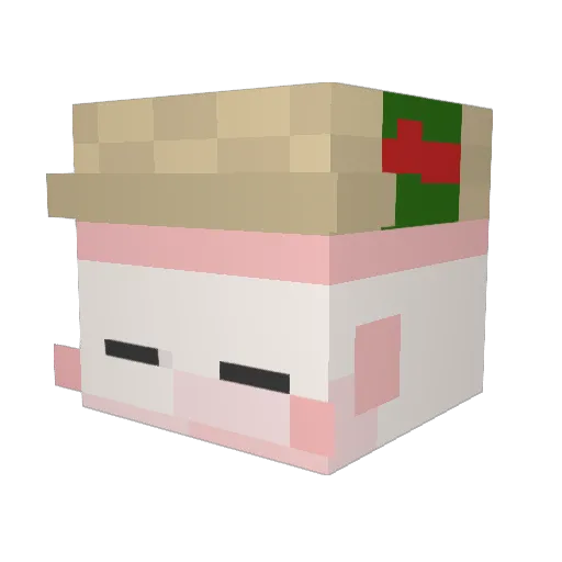 Rose_are_Roise Minecraft avatar head, 3D render
