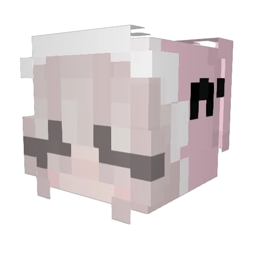 Roseara Minecraft avatar head, 3D render