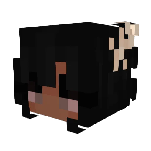 Roseblocker101 Minecraft avatar head, 3D render