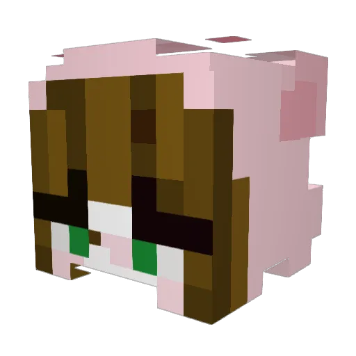 Rosehay0315 Minecraft avatar head, 3D render