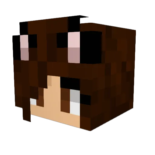 RoselinNeko Minecraft avatar head, 3D render