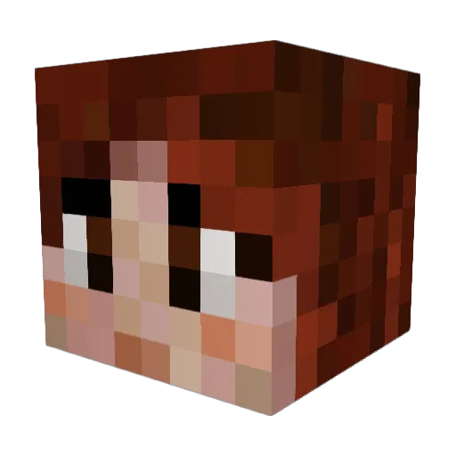 Roselyne Minecraft avatar head, 3D render