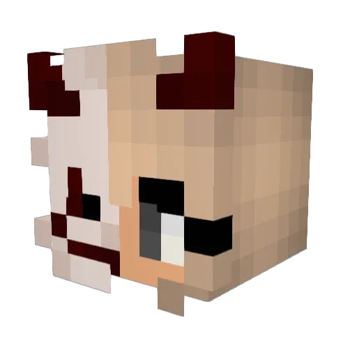 Rosemarijn Minecraft avatar head, 3D render