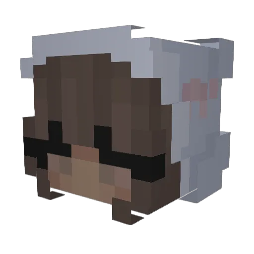 Rosemkey Minecraft avatar head, 3D render