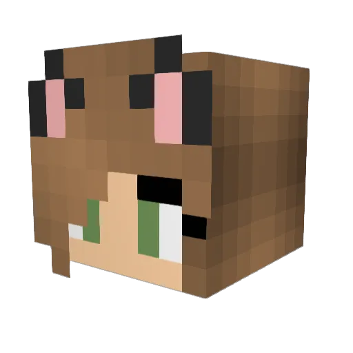 Rosen0214 Minecraft avatar head, 3D render