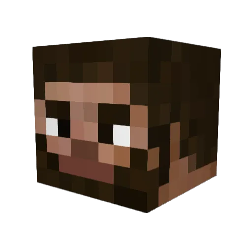 RosenWinter Minecraft avatar head, 3D render